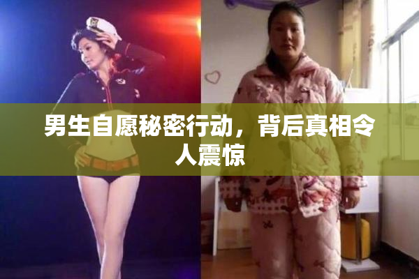 男生自愿秘密行动，背后真相令人震惊