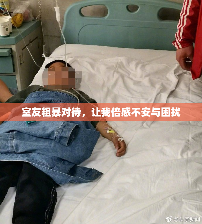 室友粗暴对待，让我倍感不安与困扰