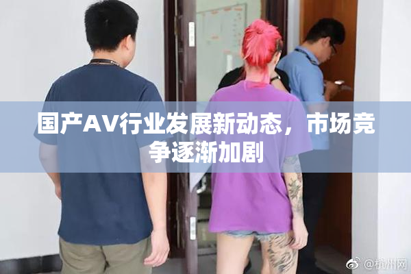 国产AV行业发展新动态，市场竞争逐渐加剧