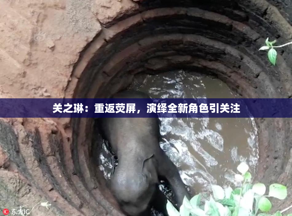 关之琳：重返荧屏，演绎全新角色引关注