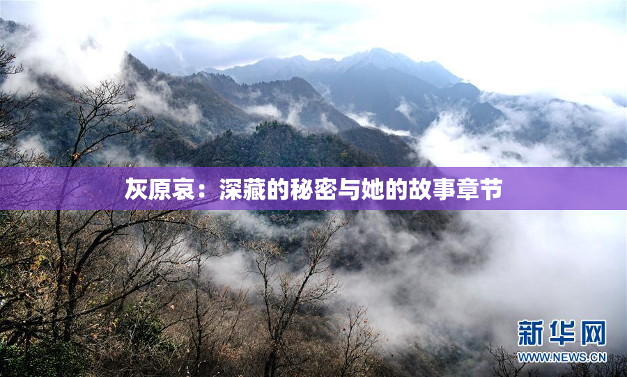 灰原哀：深藏的秘密与她的故事章节