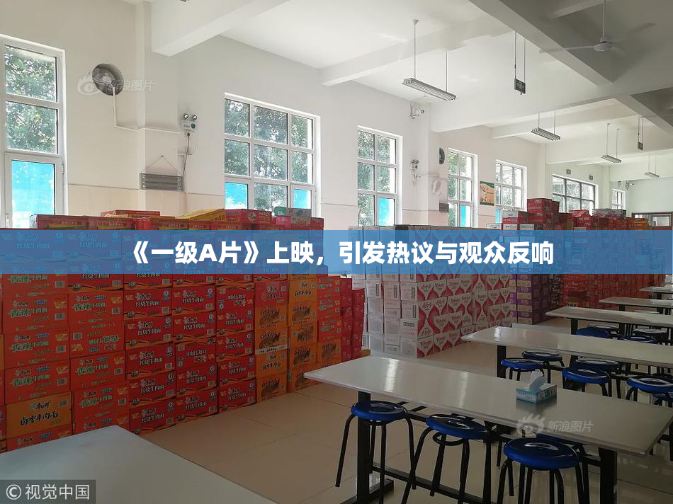 《一级A片》上映，引发热议与观众反响