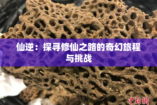 仙逆：探寻修仙之路的奇幻旅程与挑战