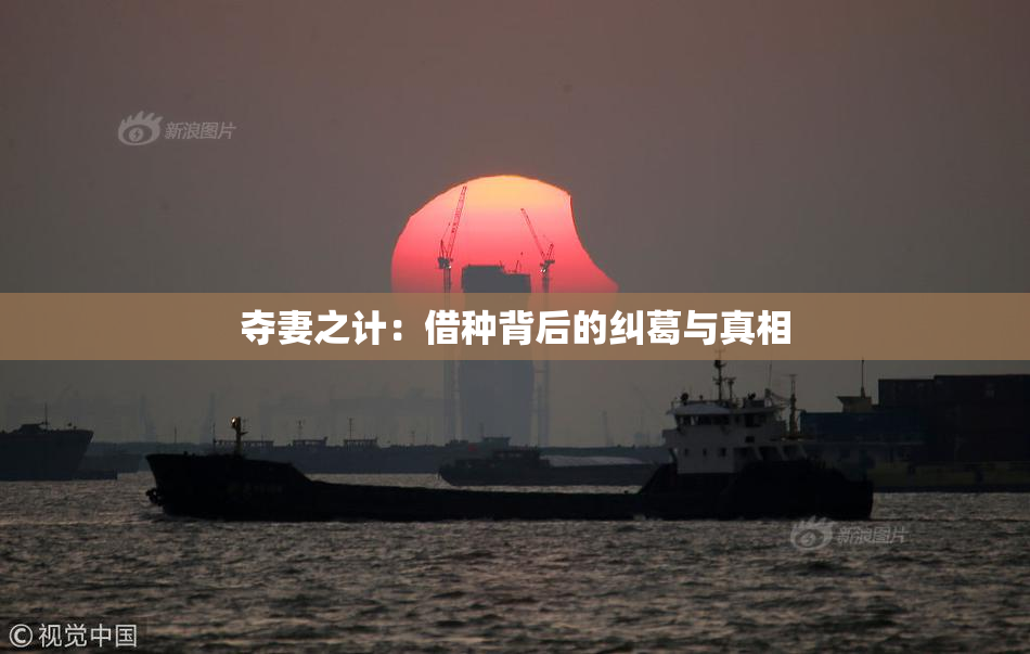 夺妻之计：借种背后的纠葛与真相