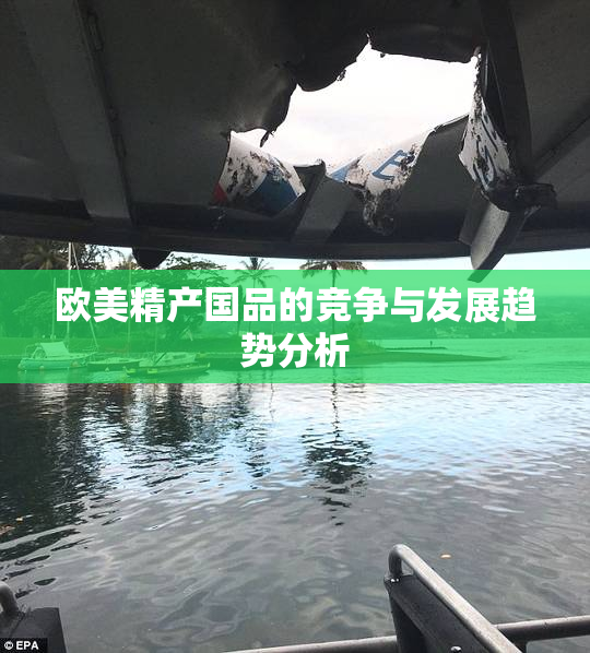 欧美精产国品的竞争与发展趋势分析
