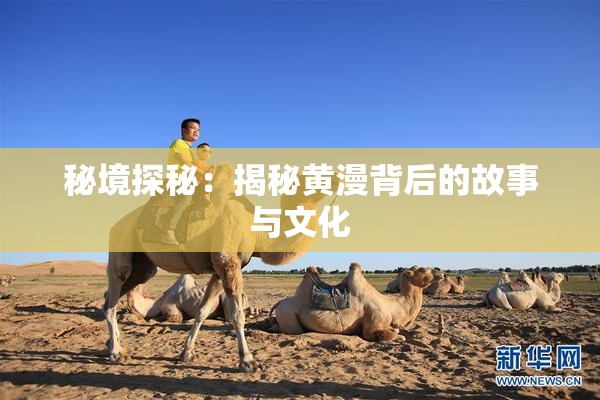 秘境探秘：揭秘黄漫背后的故事与文化
