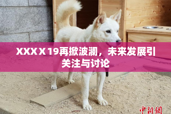 XXXⅩ19再掀波澜，未来发展引关注与讨论
