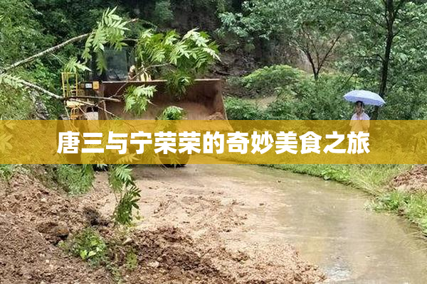 唐三与宁荣荣的奇妙美食之旅