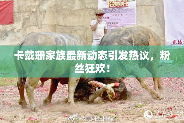 卡戴珊家族最新动态引发热议，粉丝狂欢！