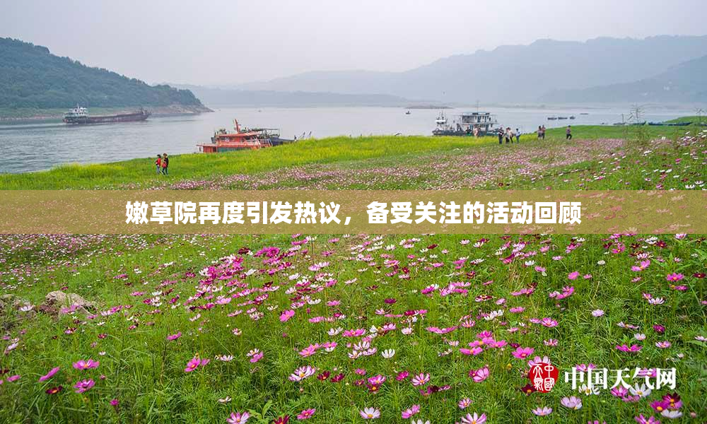 嫩草院再度引发热议，备受关注的活动回顾