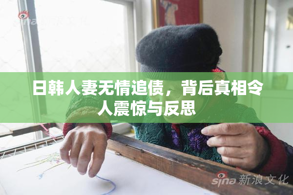 日韩人妻无情追债，背后真相令人震惊与反思