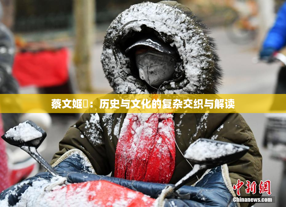 蔡文姬婬：历史与文化的复杂交织与解读