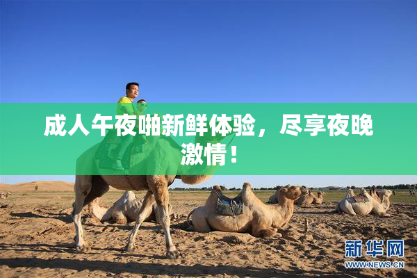 成人午夜啪新鲜体验，尽享夜晚激情！