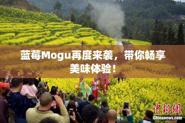 蓝莓Mogu再度来袭，带你畅享美味体验！