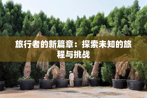 旅行者的新篇章：探索未知的旅程与挑战