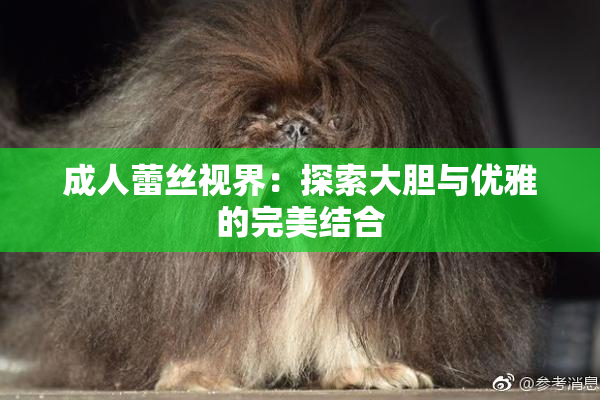 成人蕾丝视界：探索大胆与优雅的完美结合