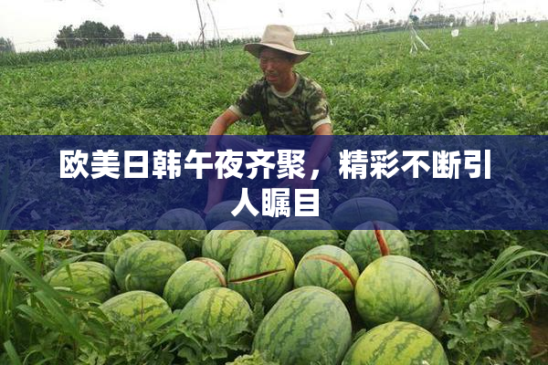 欧美日韩午夜齐聚，精彩不断引人瞩目