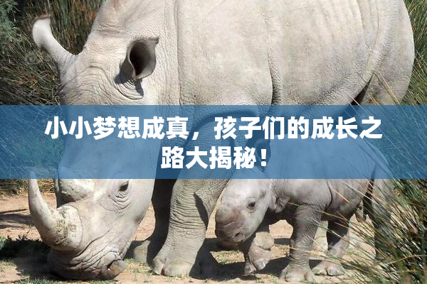 小小梦想成真，孩子们的成长之路大揭秘！