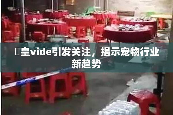 嘼皇vide引发关注，揭示宠物行业新趋势