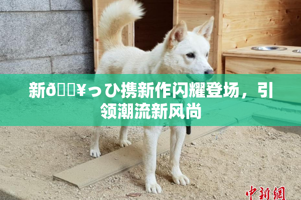新🔥っひ携新作闪耀登场，引领潮流新风尚
