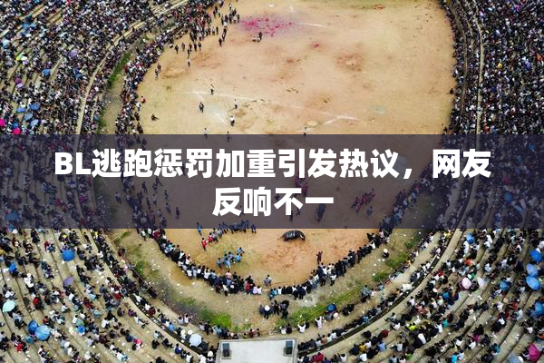BL逃跑惩罚加重引发热议，网友反响不一