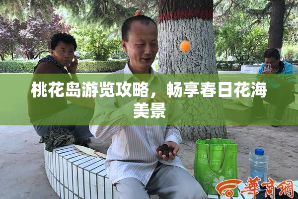 桃花岛游览攻略，畅享春日花海美景