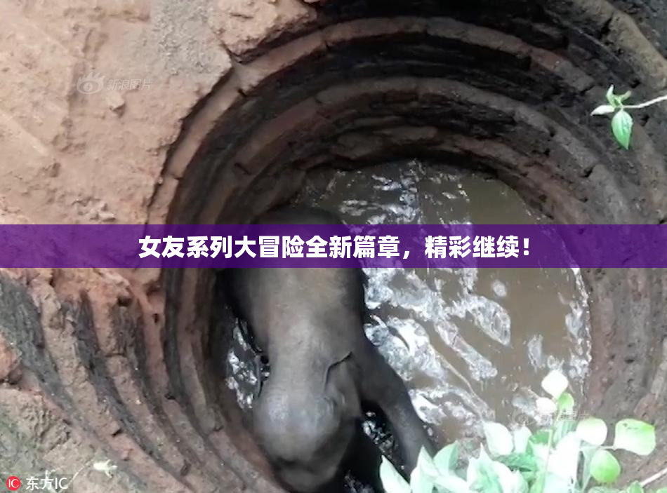 女友系列大冒险全新篇章，精彩继续！