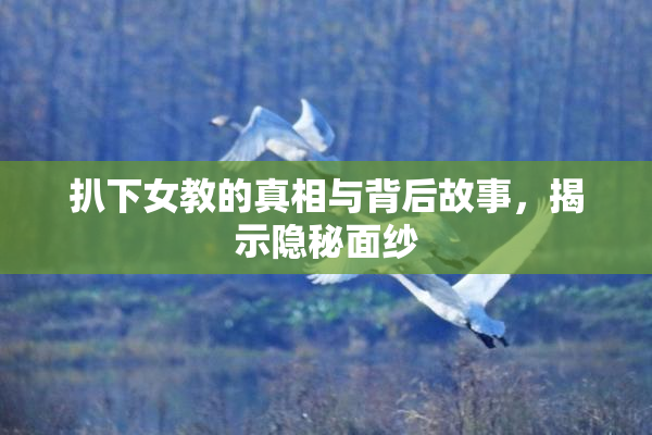 扒下女教的真相与背后故事，揭示隐秘面纱