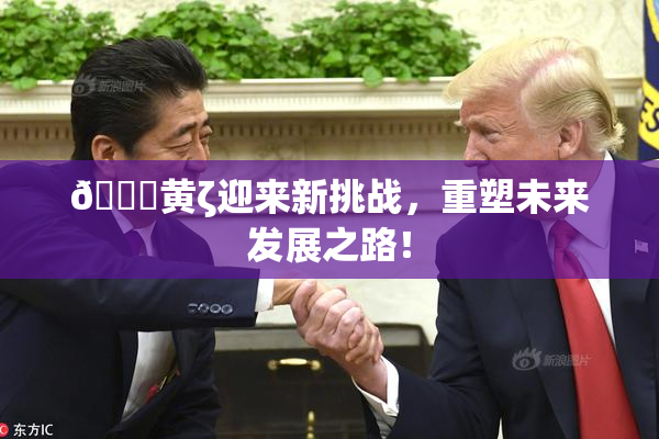🔞黄ζ迎来新挑战，重塑未来发展之路！