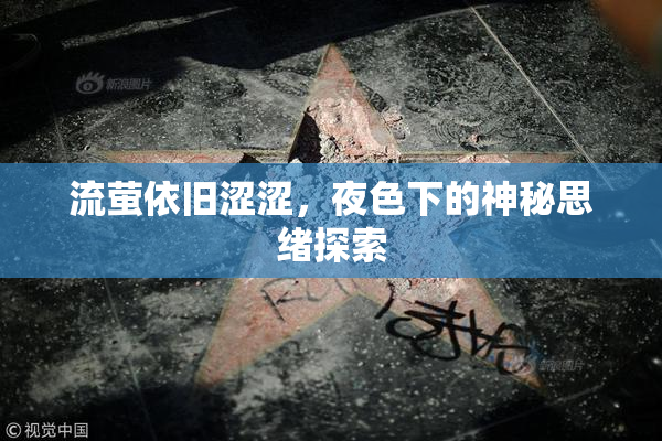 流萤依旧涩涩，夜色下的神秘思绪探索