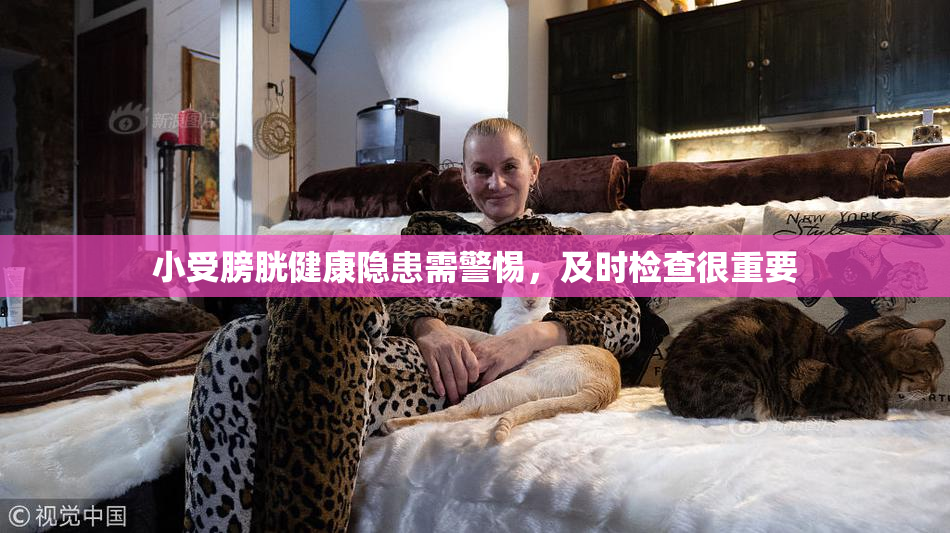小受膀胱健康隐患需警惕，及时检查很重要