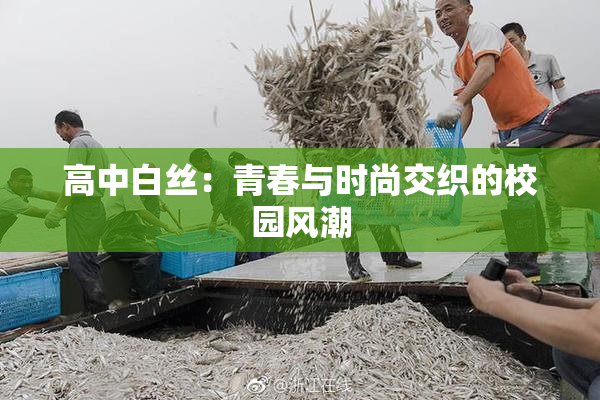 高中白丝：青春与时尚交织的校园风潮