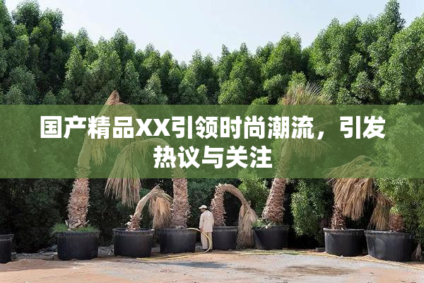国产精品XX引领时尚潮流，引发热议与关注