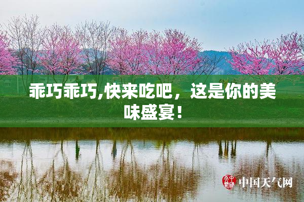 乖巧乖巧,快来吃吧，这是你的美味盛宴！