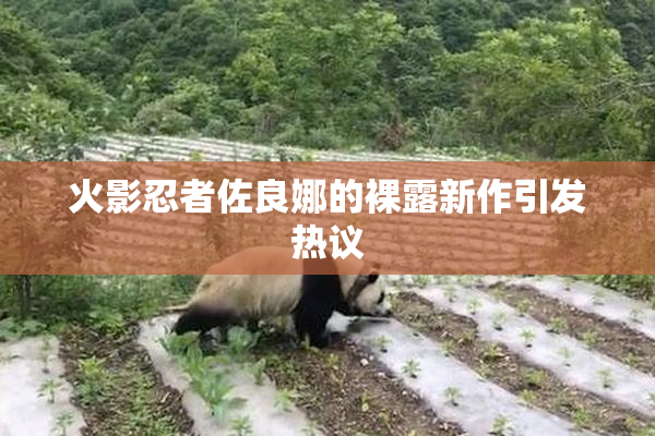 火影忍者佐良娜的裸露新作引发热议
