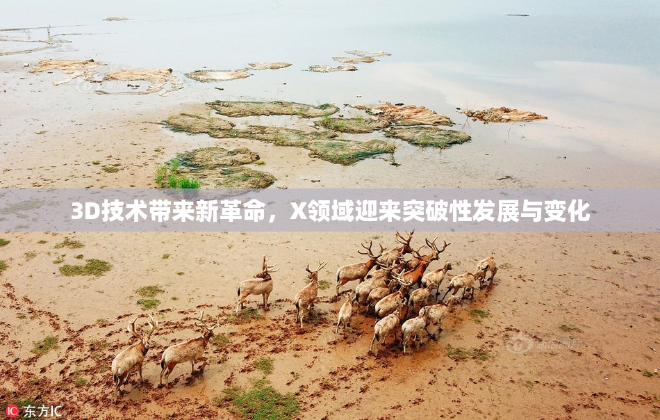3D技术带来新革命，X领域迎来突破性发展与变化