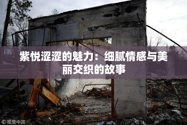 紫悦涩涩的魅力：细腻情感与美丽交织的故事