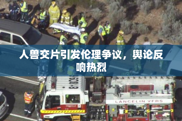 人兽交片引发伦理争议，舆论反响热烈