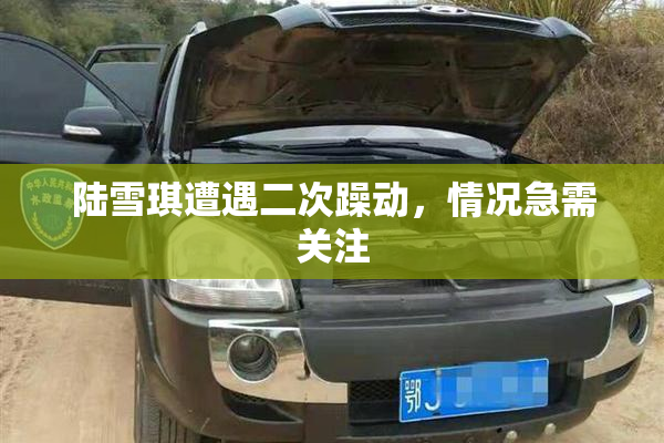 陆雪琪遭遇二次躁动，情况急需关注