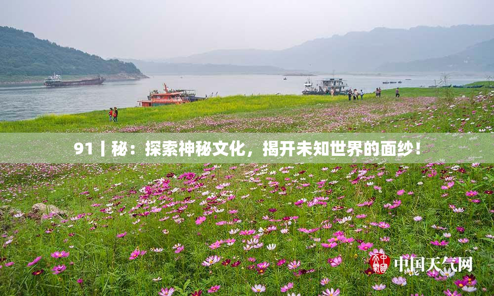 91丨秘：探索神秘文化，揭开未知世界的面纱！