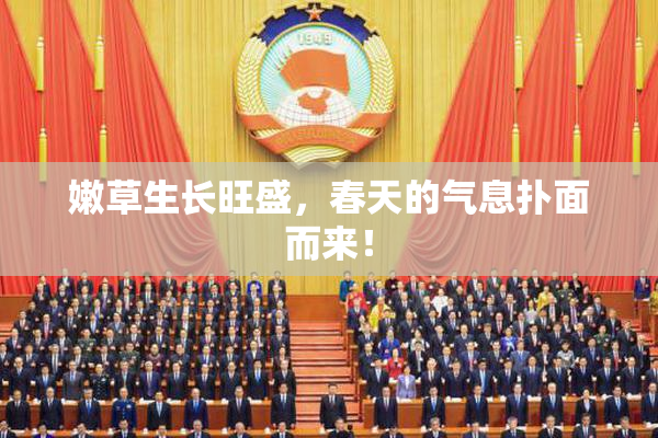 嫩草生长旺盛，春天的气息扑面而来！