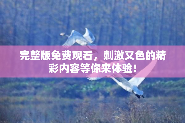 完整版免费观看，刺激又色的精彩内容等你来体验！
