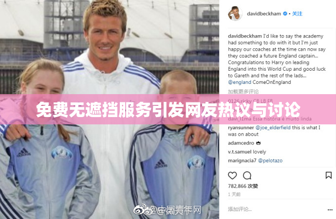 免费无遮挡服务引发网友热议与讨论