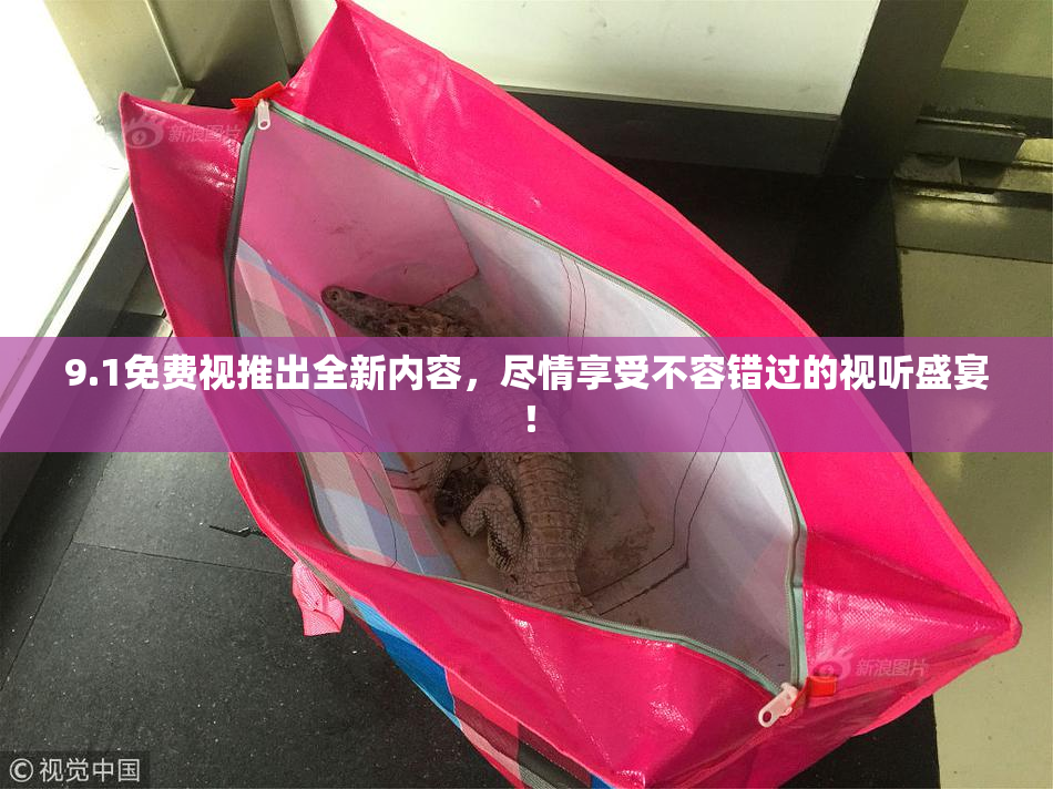 9.1免费视推出全新内容，尽情享受不容错过的视听盛宴！
