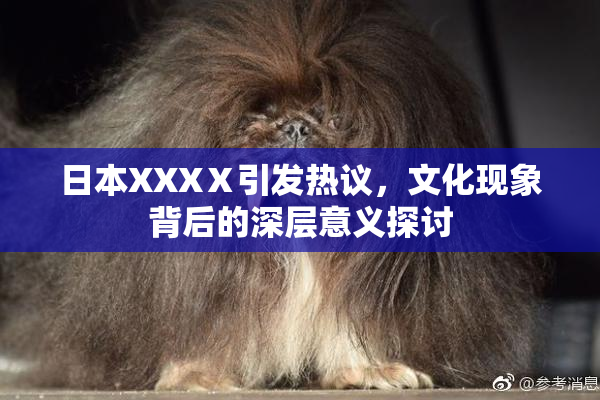 日本XXXⅩ引发热议，文化现象背后的深层意义探讨