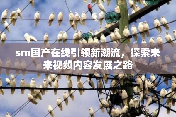 sm国产在线引领新潮流，探索未来视频内容发展之路