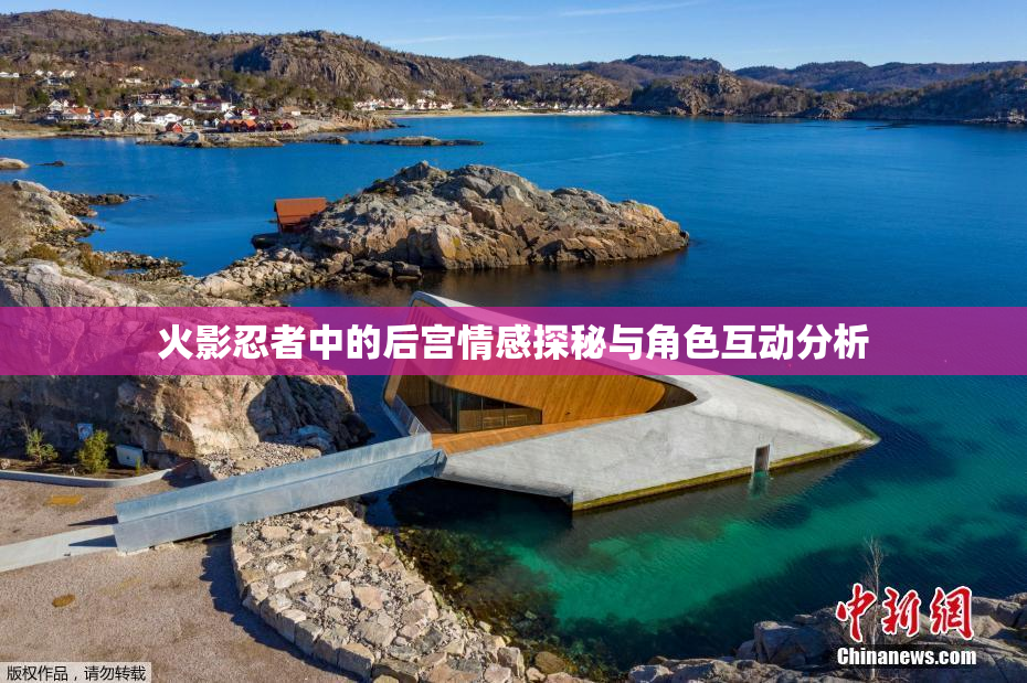 火影忍者中的后宫情感探秘与角色互动分析