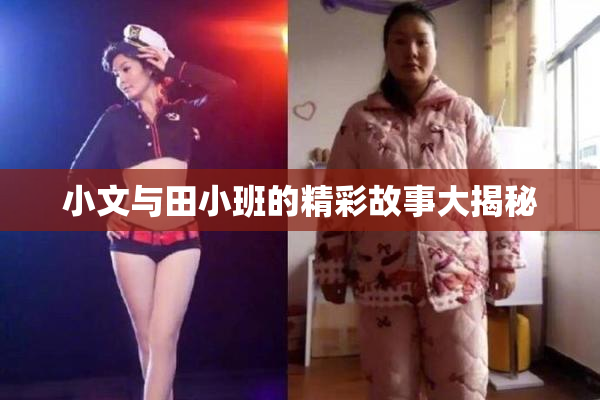 小文与田小班的精彩故事大揭秘