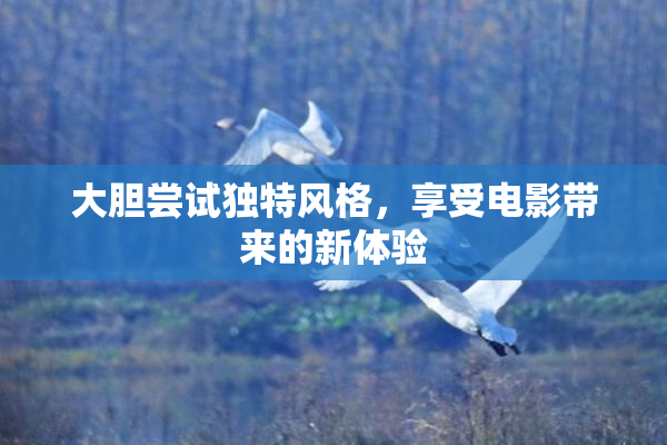大胆尝试独特风格，享受电影带来的新体验