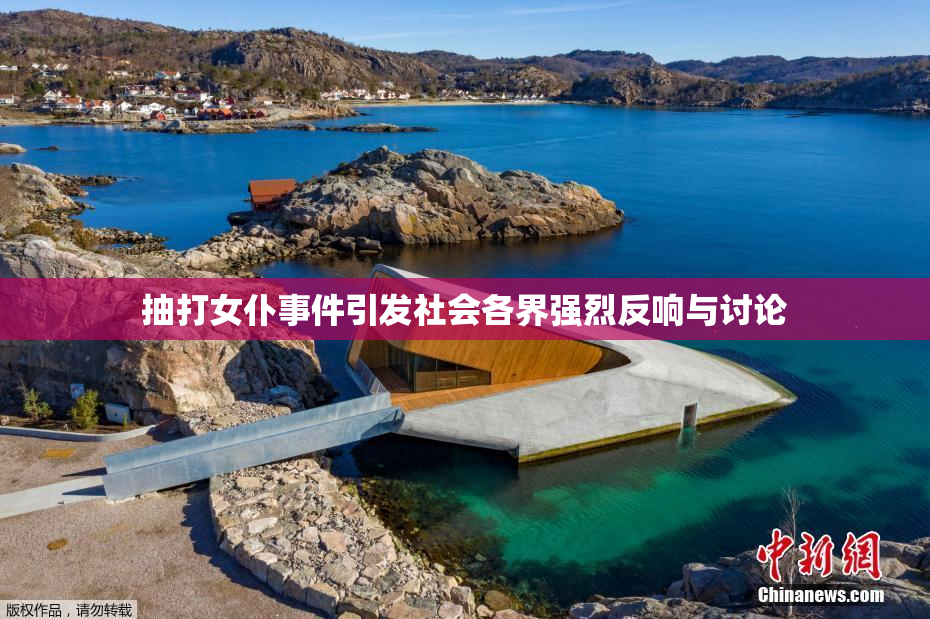 抽打女仆事件引发社会各界强烈反响与讨论